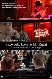 Sexwork, Love & Mr Right movie poster