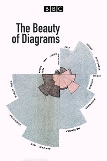 The Beauty of Diagrams tv show poster