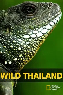 Wild Thailand tv show poster
