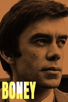 Boney tv show poster