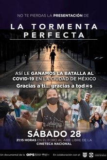 La tormenta perfecta movie poster