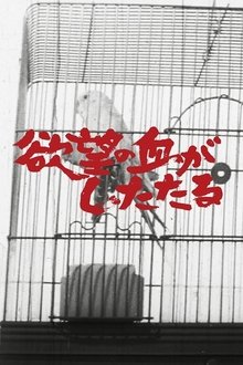 Blood of Lust Is Dripping movie poster