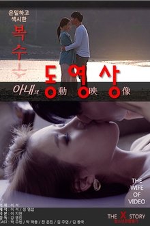 Poster do filme My Wife's Videos