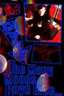 The Many Moods Of Boyd Rice movie poster