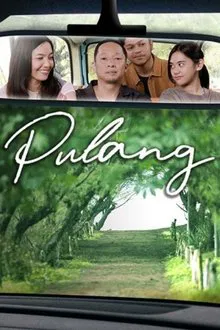 Pulang movie poster
