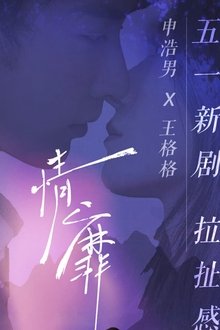 情靡 tv show poster