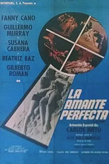 The Perfect Lover movie poster