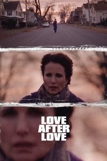 Love After Love movie poster