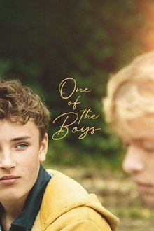 One of the Boys tv show poster