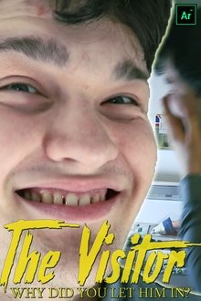 The Visitor movie poster