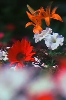 Fleurs movie poster