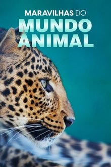 Poster da série Maravilhas do Mundo Animal