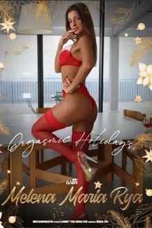 Orgasmic Holidays movie poster