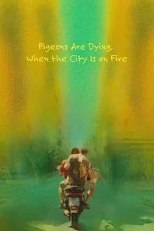 Pigeons Are Dying, When the City Is on Fire movie poster