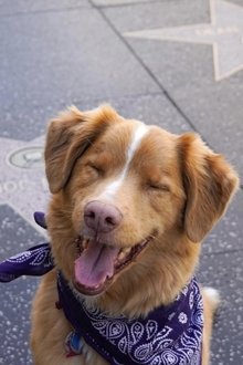 Indy profile picture