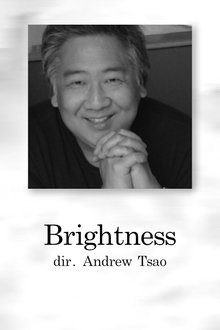 Poster do filme Brightness