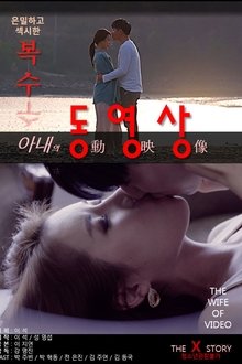 Poster do filme Wife's Videos