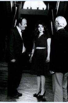 ფარანი ქარში movie poster