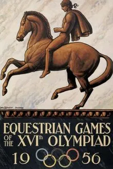 The Horse in Focus movie poster