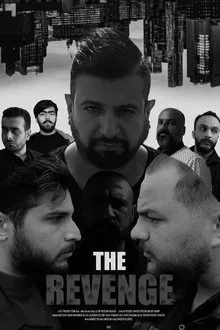 The Revenge movie poster