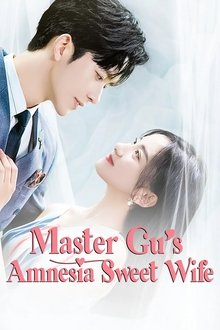 Master Gu’s Amnesia Sweet Wife tv show poster