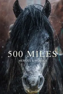 500 Miles - The Story of Ranchers and Horses movie poster