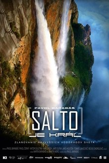 Salto je kráľ movie poster