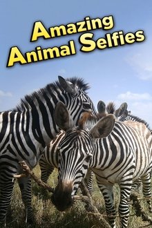 Amazing Animal Selfies movie poster
