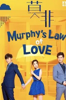 Murphy's Law of Love tv show poster