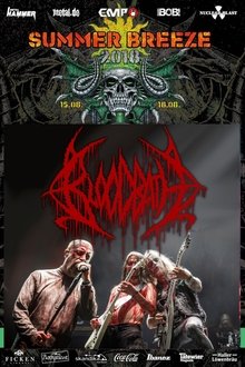 Bloodbath: Summer Breeze 2018 movie poster