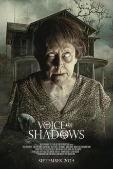 Voice of Shadows movie poster