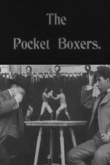 Pocket Boxers movie poster