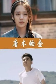 唐木的壶 movie poster