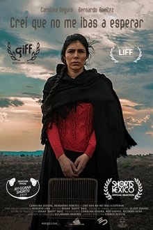 I Thought You Were Not Going to Wait for Me movie poster