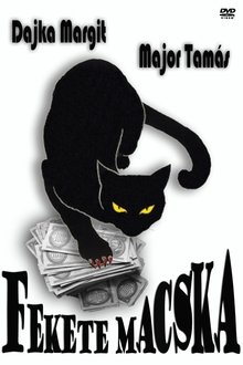 Fekete macska movie poster