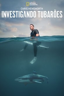 Poster do filme Chris Hemsworth: Investigando Tubarões