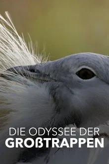 Die Odyssee der Großtrappen - Das Comeback der Riesenvögel movie poster