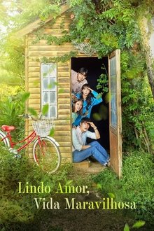 Poster da série Lindo Amor, Vida Maravilhosa