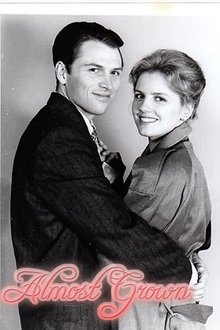 Almost Grown tv show poster