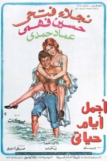 The Most Beautiful Days of My Life movie poster