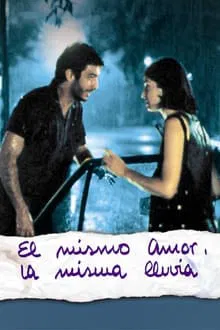 Same Love, Same Rain movie poster