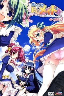 Maid to Please tv show poster