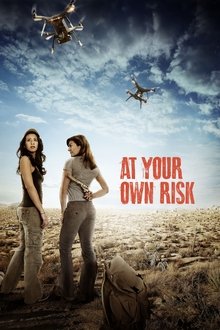 At Your Own Risk movie poster