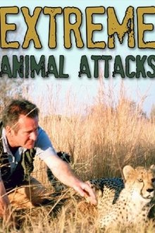 Extreme Animal Attacks movie poster