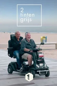 Twee Tinten Grijs tv show poster