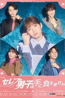 Sharehouse Cinderella tv show poster