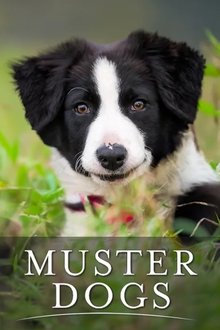 Muster Dogs tv show poster