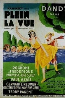 Full view movie poster