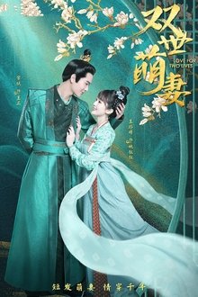 Love For Two Lives tv show poster