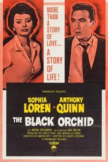 The Black Orchid movie poster